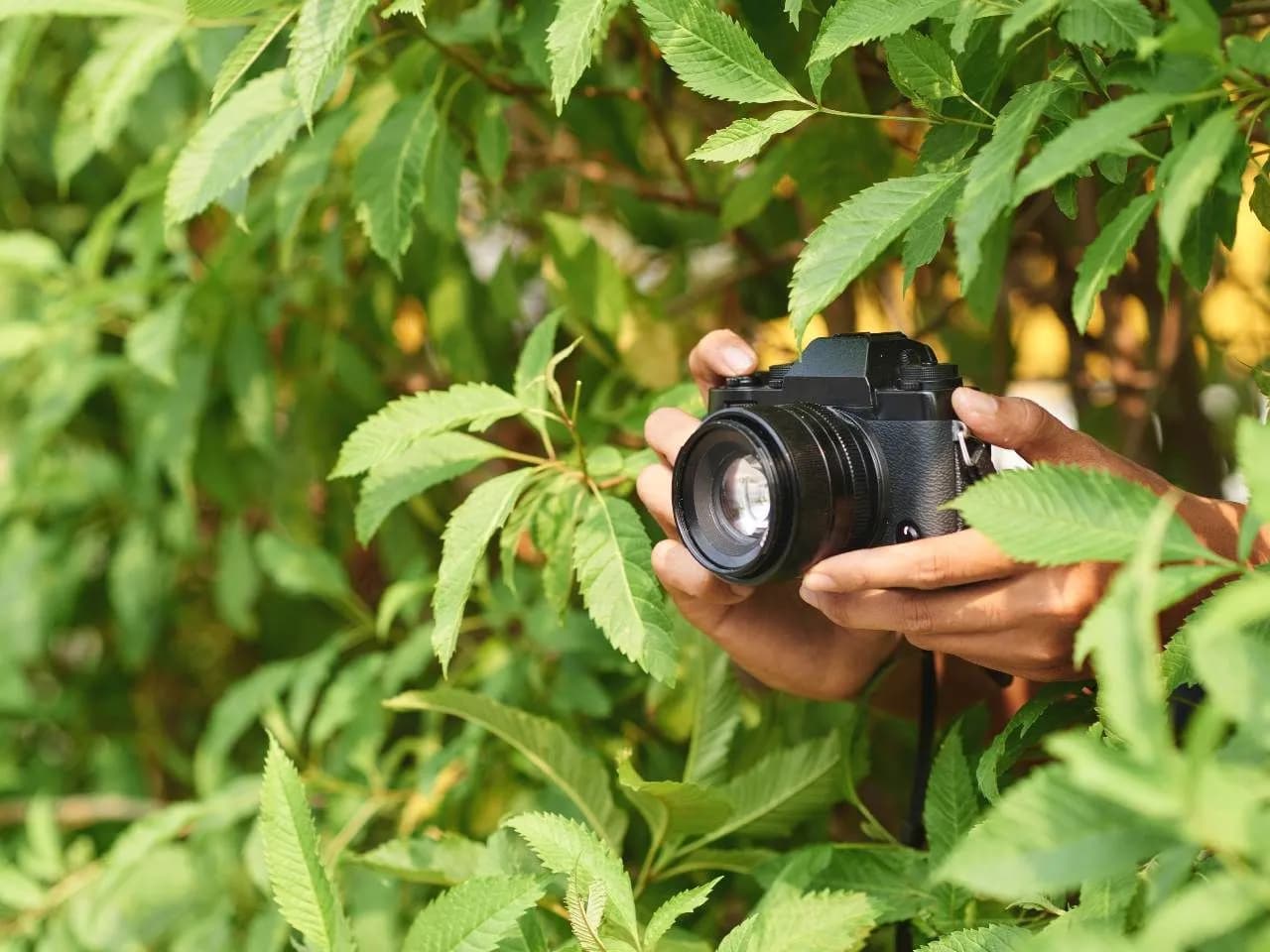 Jasność obiektywu jaka najlepsza – wybierz idealny obiektyw do zdjęć
